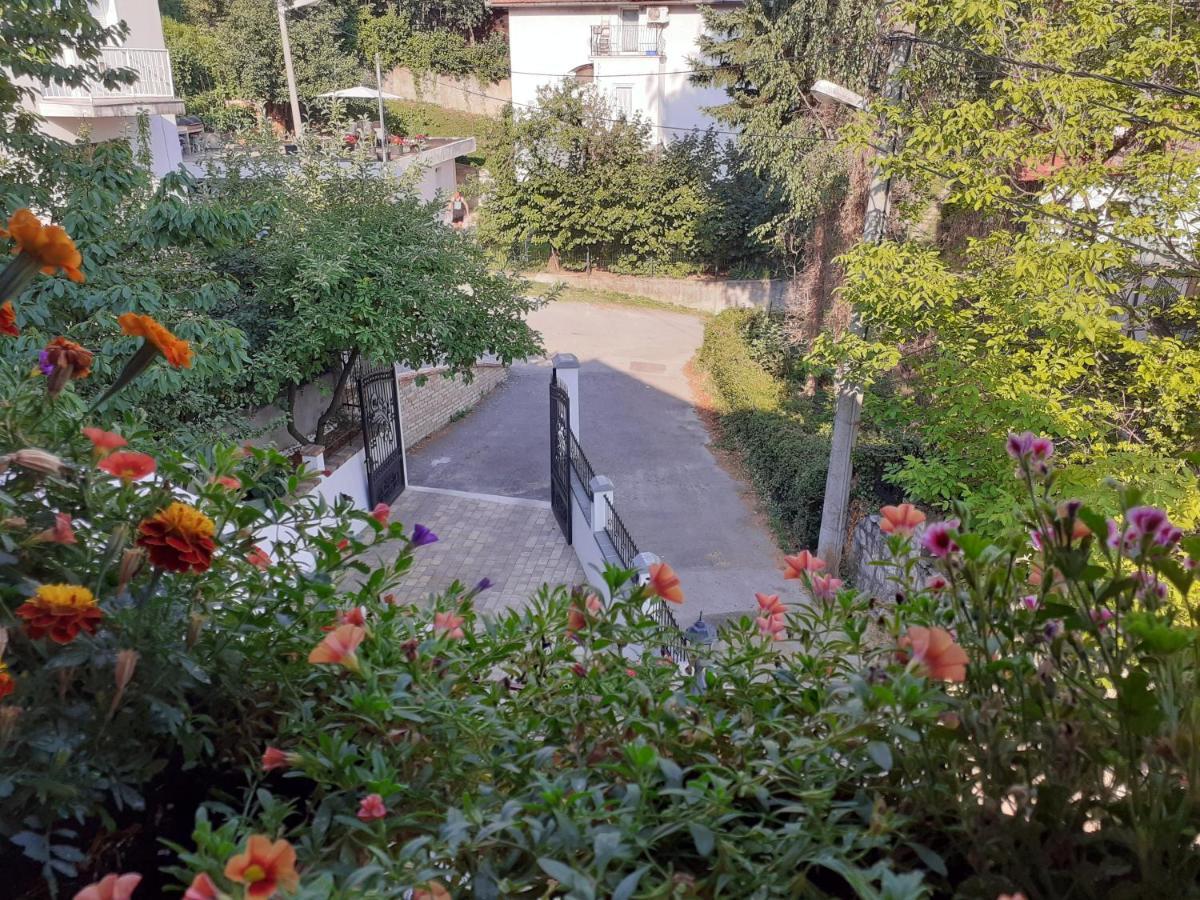 Grbavica Cozy - Free Parking *