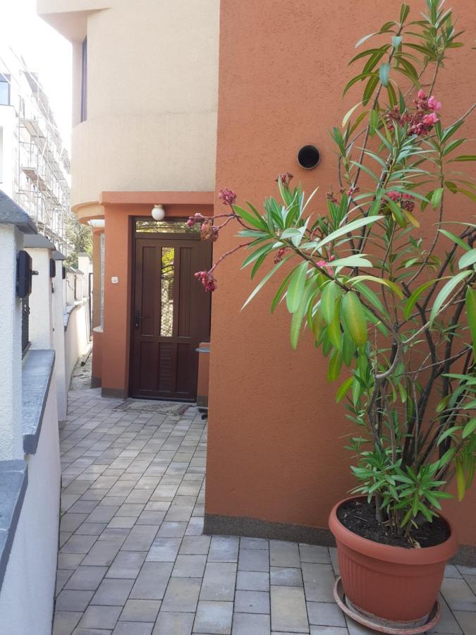 公寓 Grbavica Cozy - Free Parking