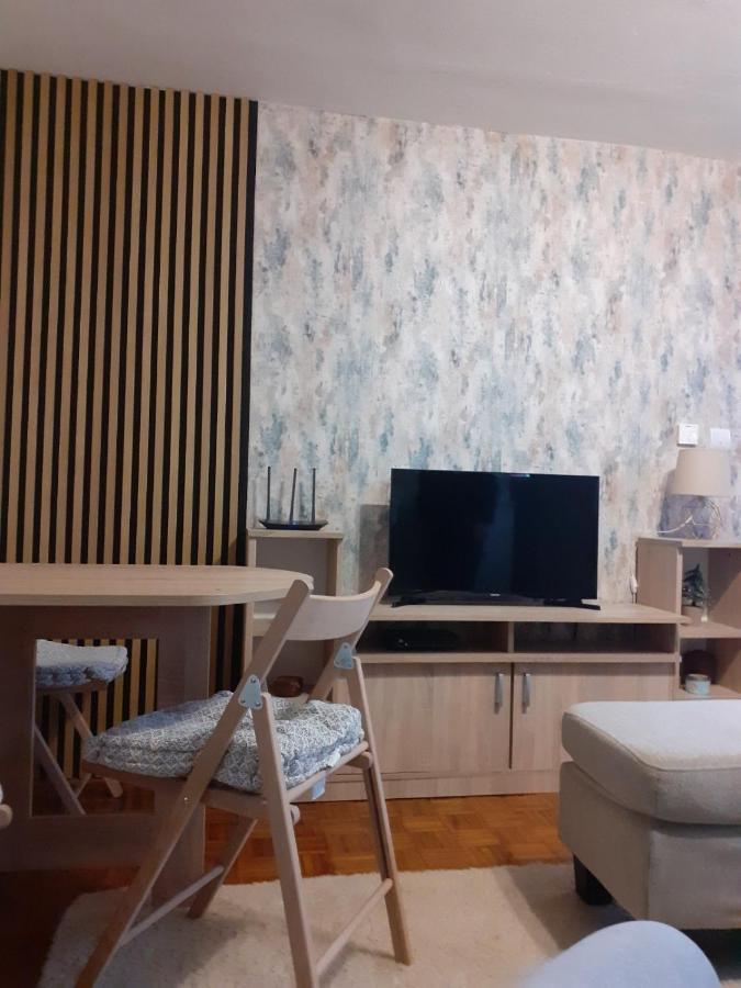 Grbavica Cozy - Free Parking 公寓 *